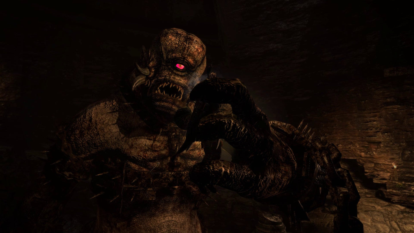 [JP]Dragon's Dogma: Dark Arisen(Steam)