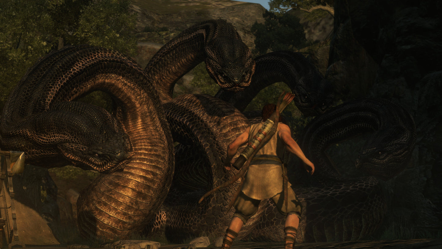 [JP]Dragon's Dogma: Dark Arisen(Steam)