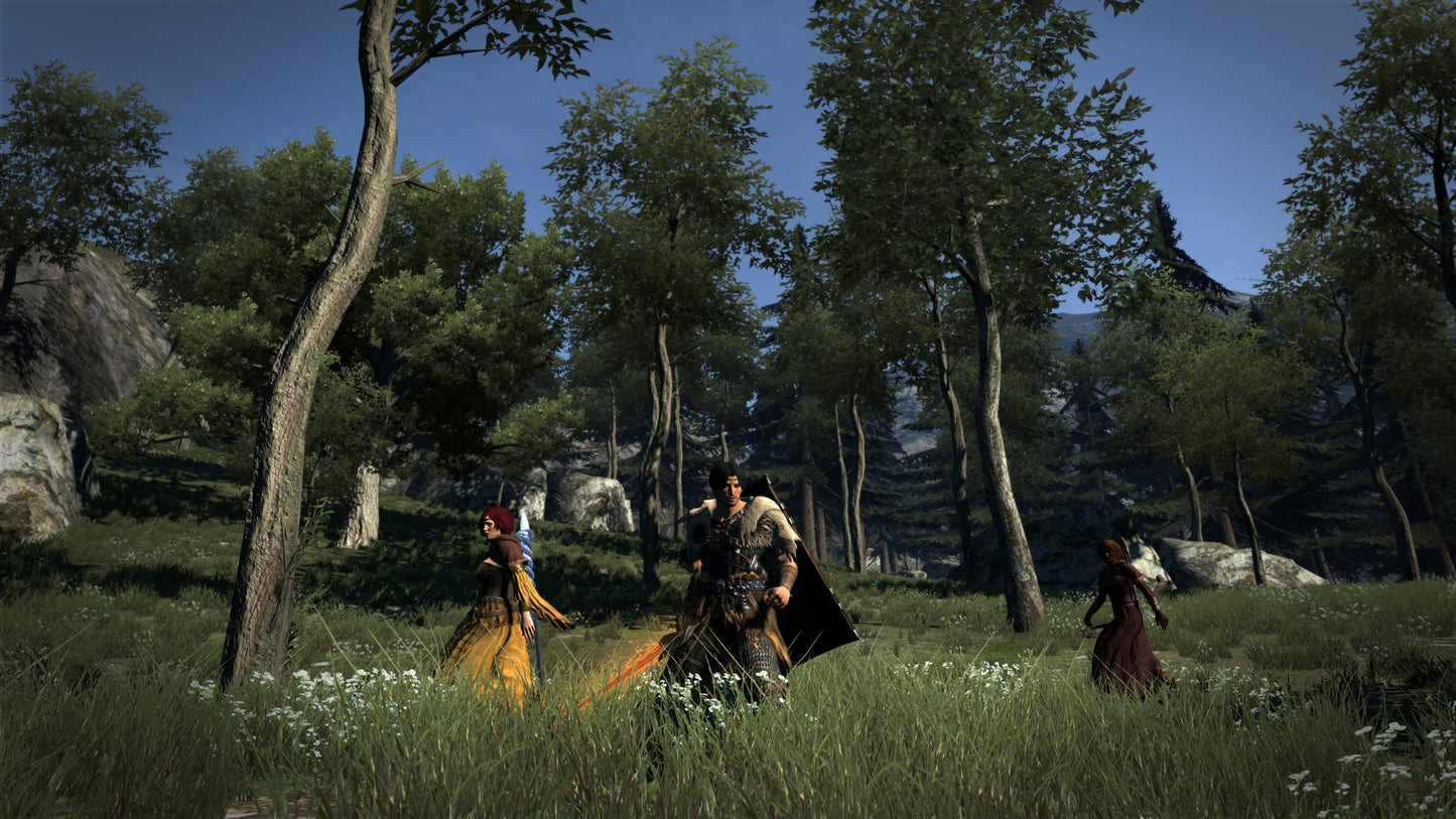 [JP]Dragon's Dogma: Dark Arisen(Steam)