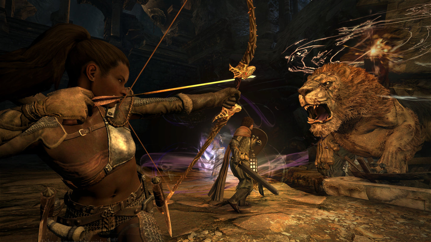 [JP]Dragon's Dogma: Dark Arisen(Steam)