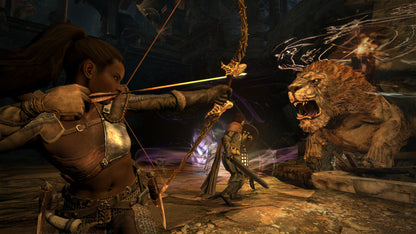 [JP]Dragon's Dogma: Dark Arisen(Steam)
