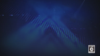 [JP]ロックマンX DiVE オフライン(Steam)